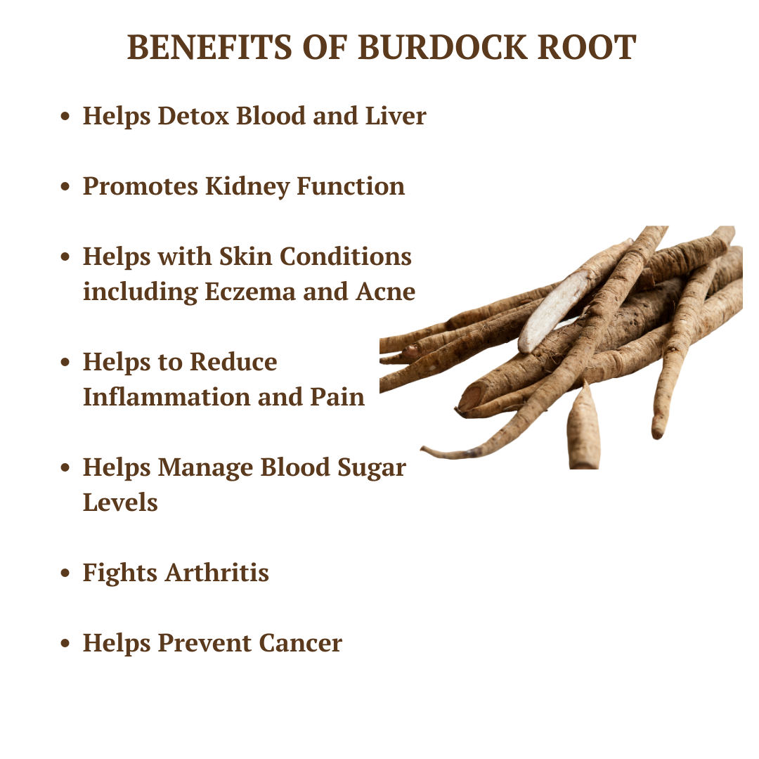 Sea Moss, Bladderwrack, & Burdock Root Gel (102 Minerals)