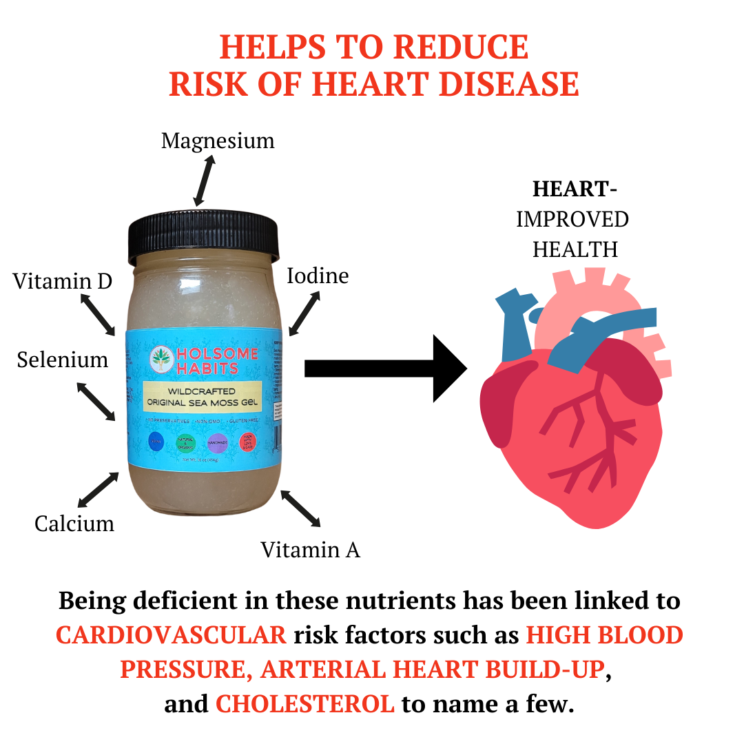 Sea Moss, Bladderwrack, & Burdock Root Gel (102 Minerals)