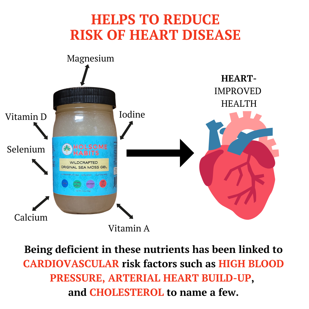 Sea Moss, Bladderwrack, & Burdock Root  Gel (102 Minerals)