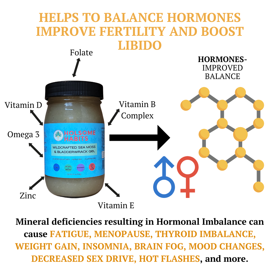 Sea Moss, Bladderwrack, & Burdock Root Gel (102 Minerals)