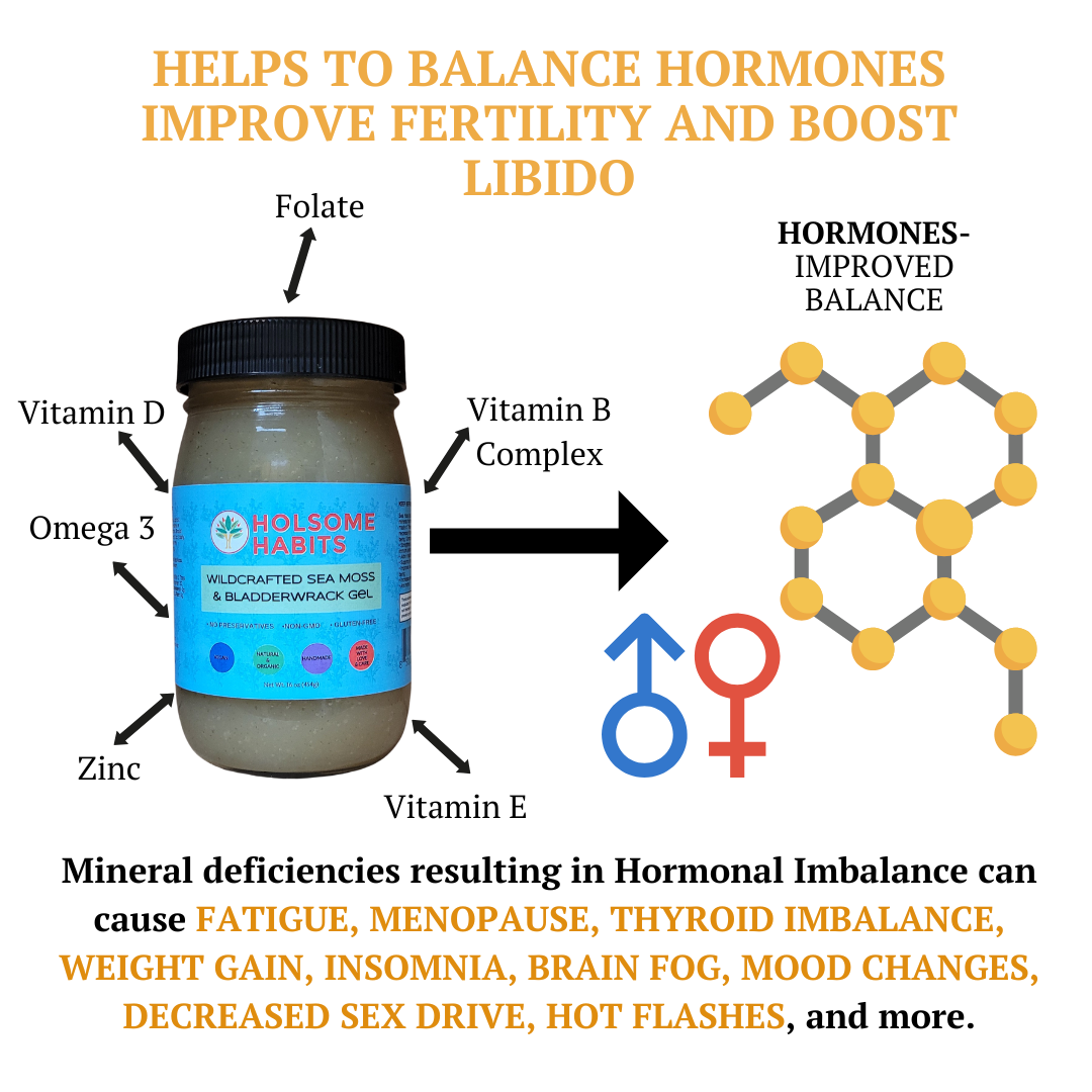 Sea Moss, Bladderwrack, & Burdock Root  Gel (102 Minerals)