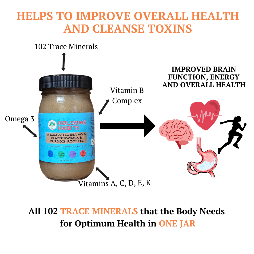 Sea Moss Gel - Unflavored